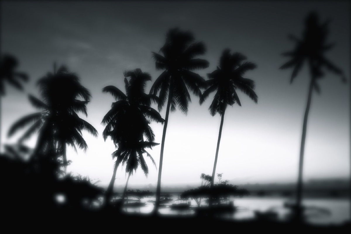 sunset over tropical island