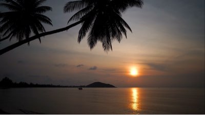 Bora Bora: 3 Fasi per il Tuo Sposatino Perfetto in Paradiso