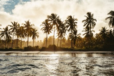 Bora Bora : 10k€ vs 30k€, planifiez votre lune de miel parfaite