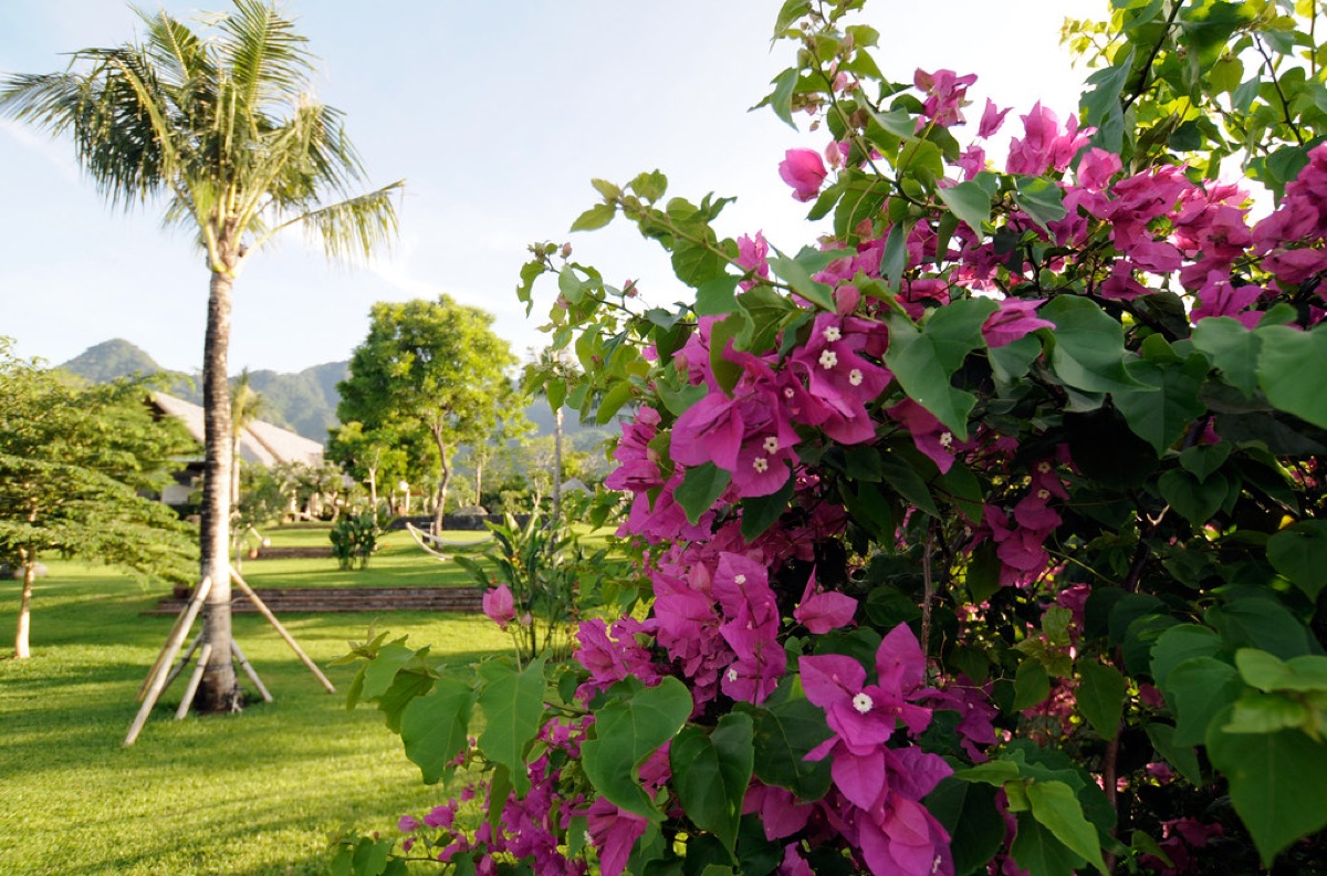 vila de luxo com jardim tropical