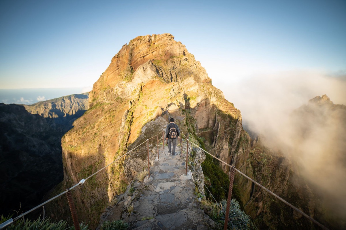 Hiking trail auf einer taihitiinsel