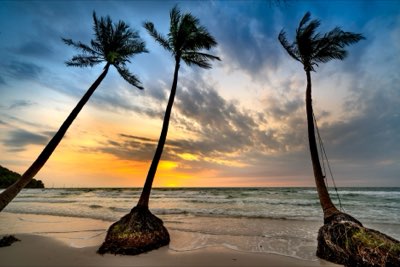 Tahiti Honeymoon: Choose Your Perfect Visit Timing Now