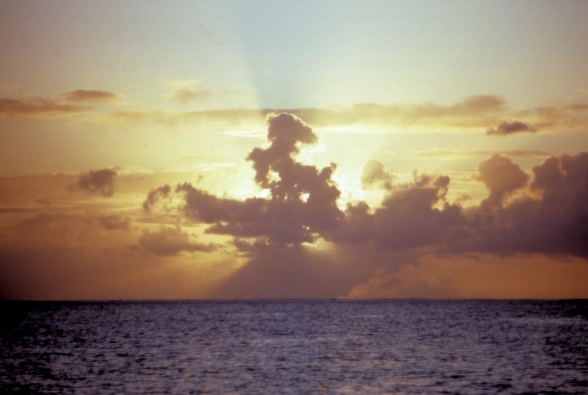 タヒティの夕方の海