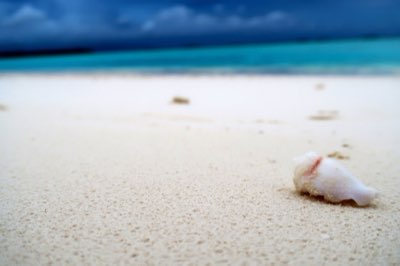 Bora Bora Traumhochzeit: 5 Wege, 10.000 Euro zu sparen