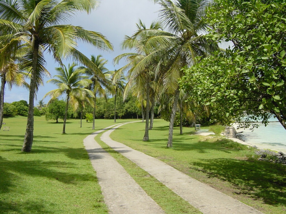 camera view of tropical resort room