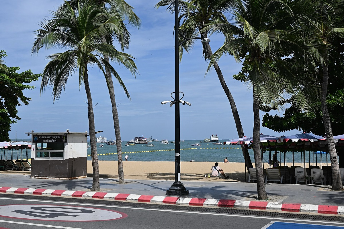 copa de palmeira, areia branca, sol da manhã