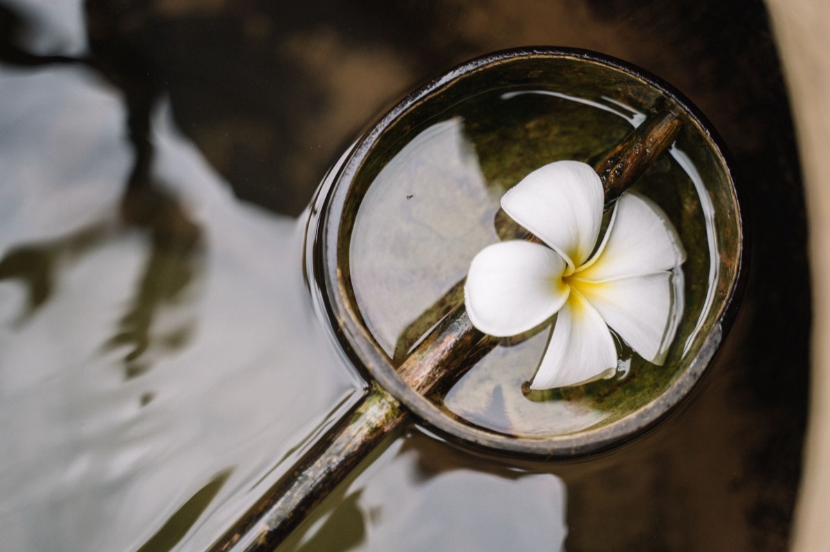 Borabora tiare flower in traditional ceremony