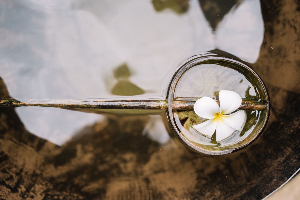 Flor de Tiaré en Estilo Polinesio