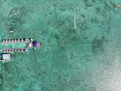 Lujo en Tahití: Guía esencial para escoger su santuario ideal