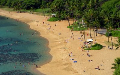 Coralli Viventi: Non Toccare, Non Danneggiare, Preserva Bora Bora