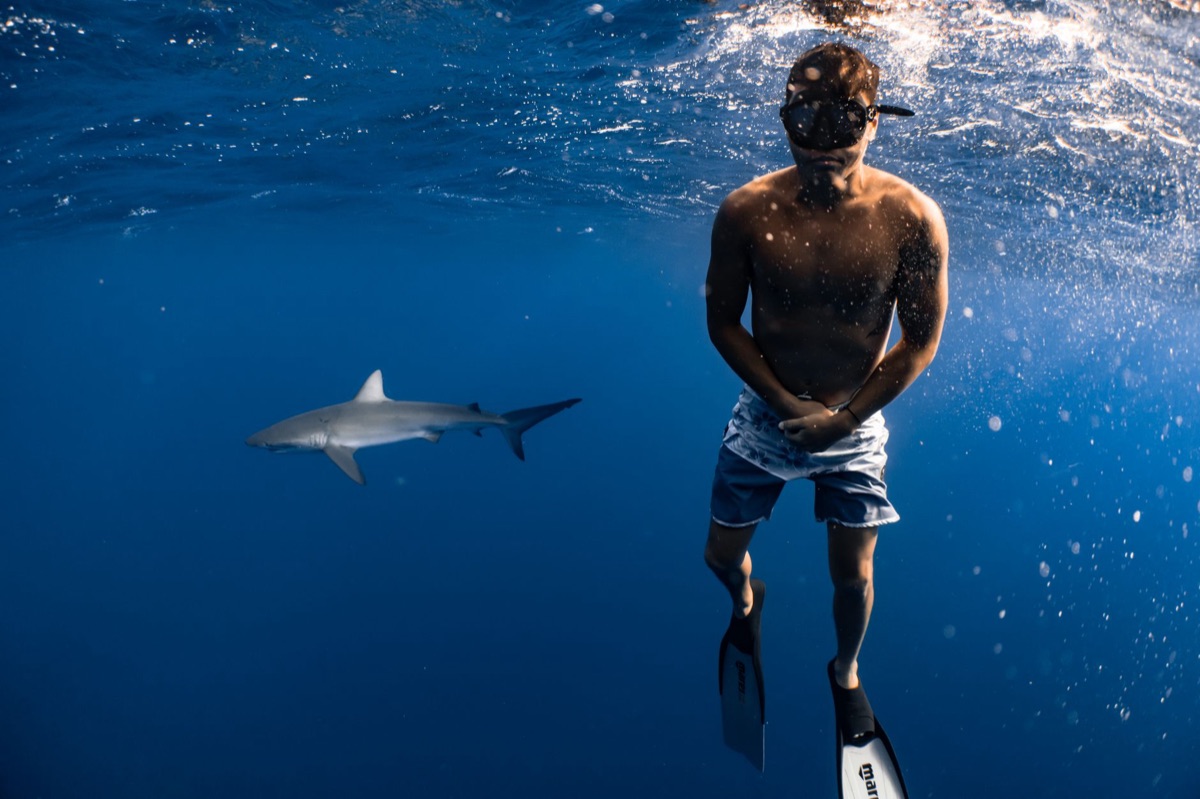 Safety instructions for shark diving