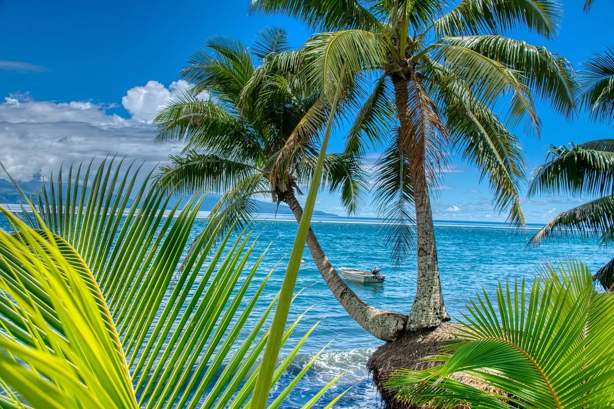 塔希提、自然、棕櫚樹、海、熱帶、 beaches、天堂、海洋、旅行目的地、風景、風景、島嶼、法屬波利尼西亞