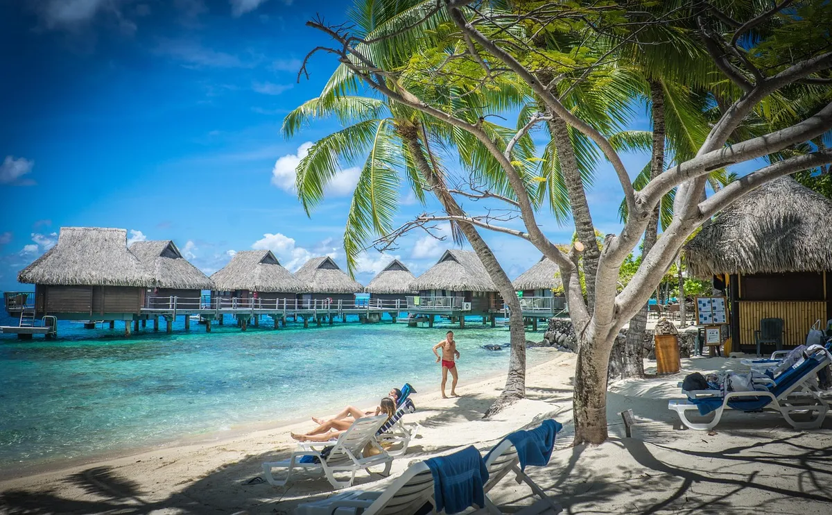 bora-bora, over water bungalows, palm trees, south pacific, french polynesia, matira beach, ocean, sea, tropical, vacation, nature, paradise, water, luxury, tur